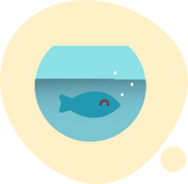 Thoughts of fish food