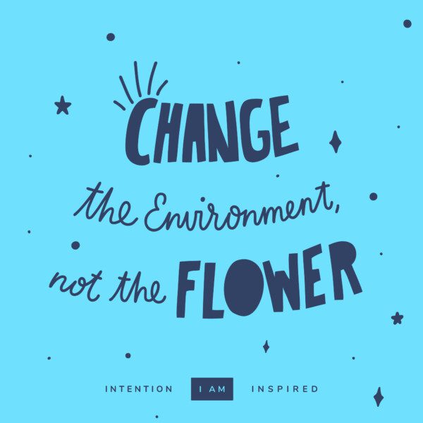 change the environment, not the flower