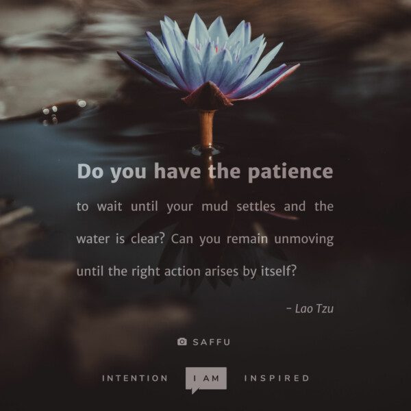 Do you have the patience to wait until your mud settles and the water is clear? - Lao Tzu