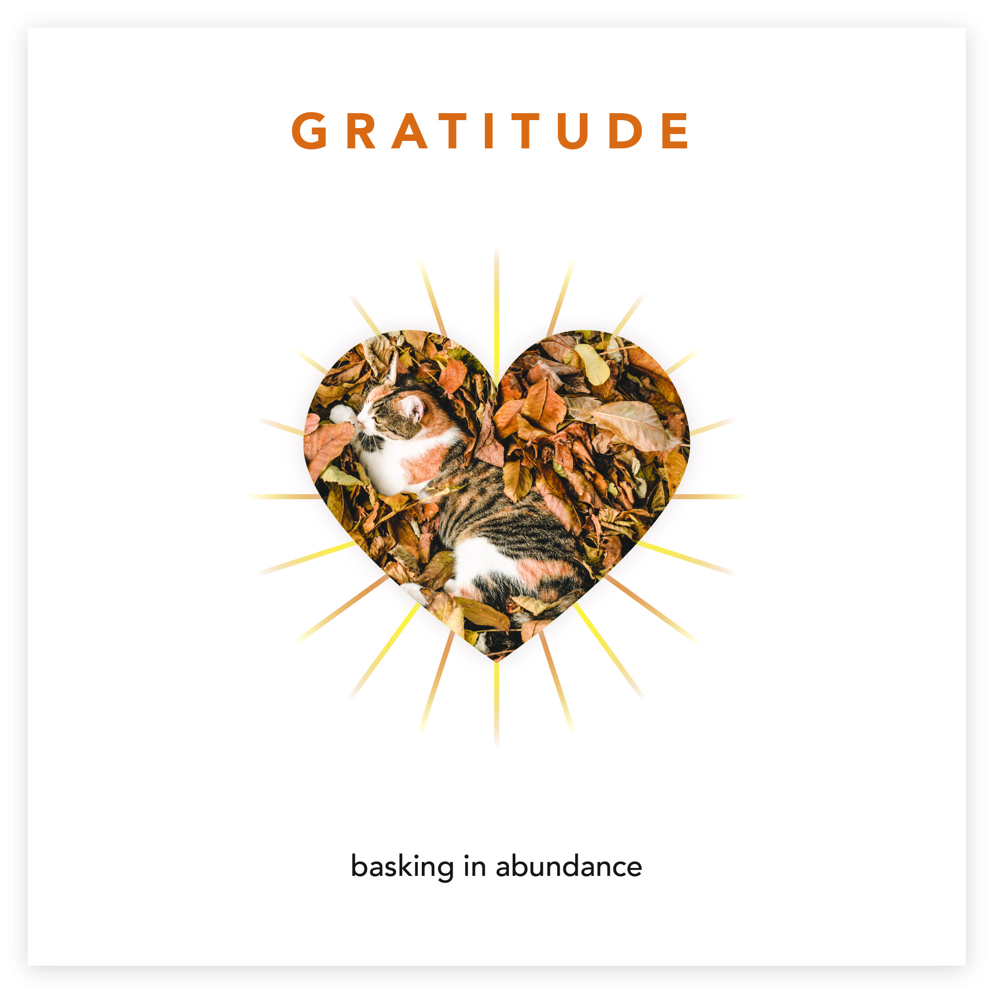 gratitude - basking in abundance