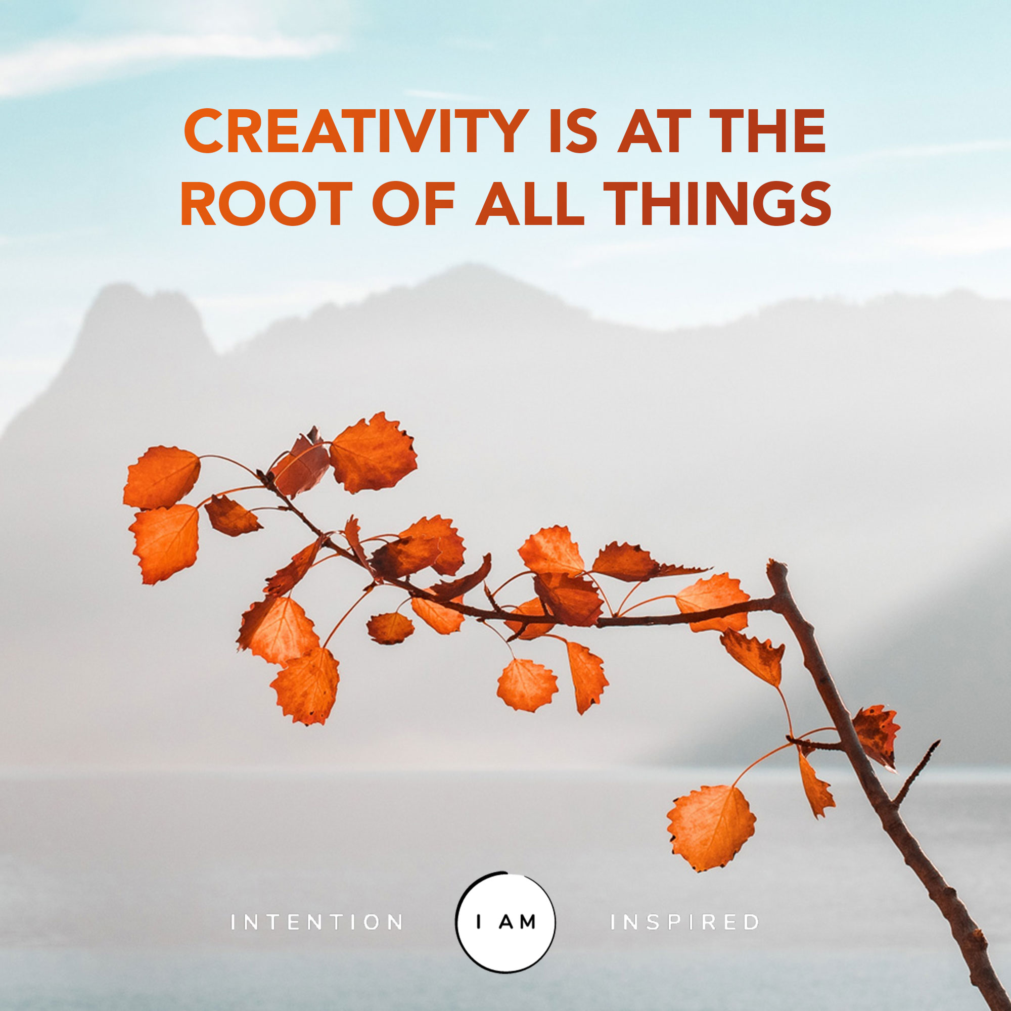 Creativity is at the root of all things.