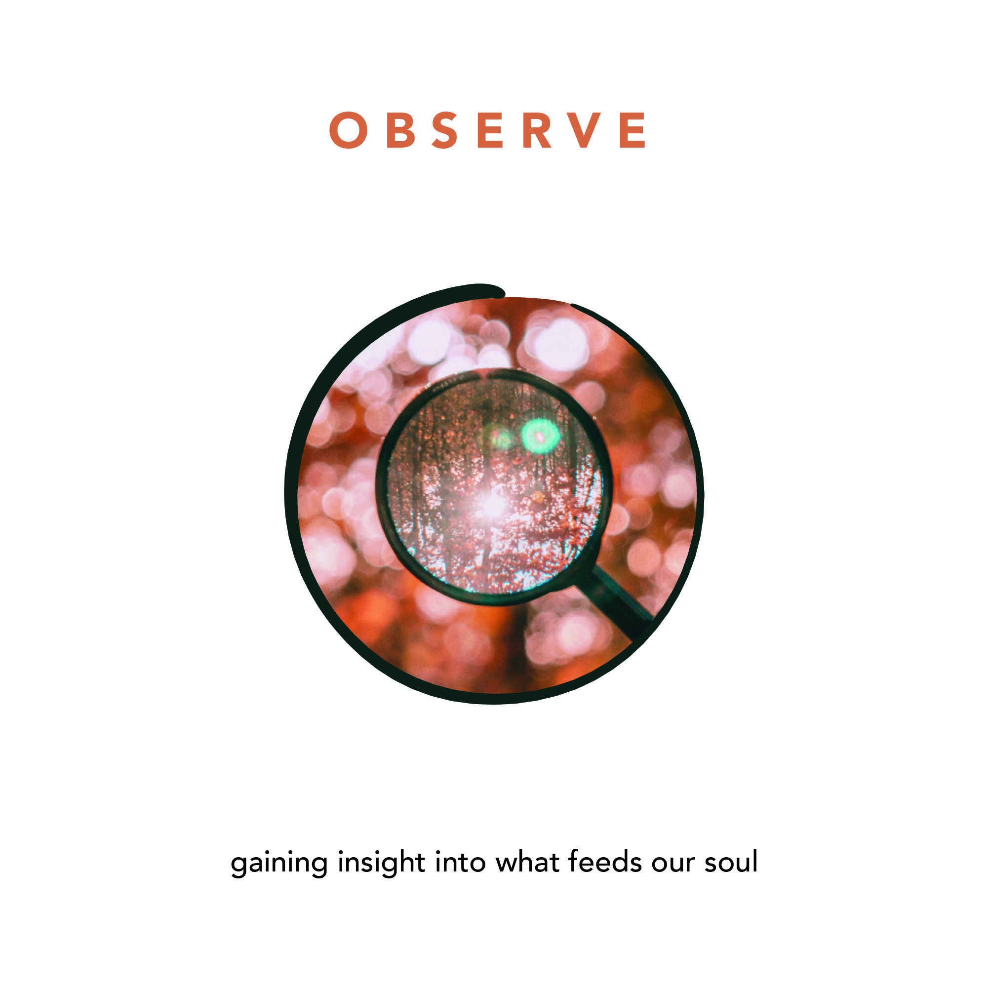 OBSERVE - gaining insight into what feeds our soul