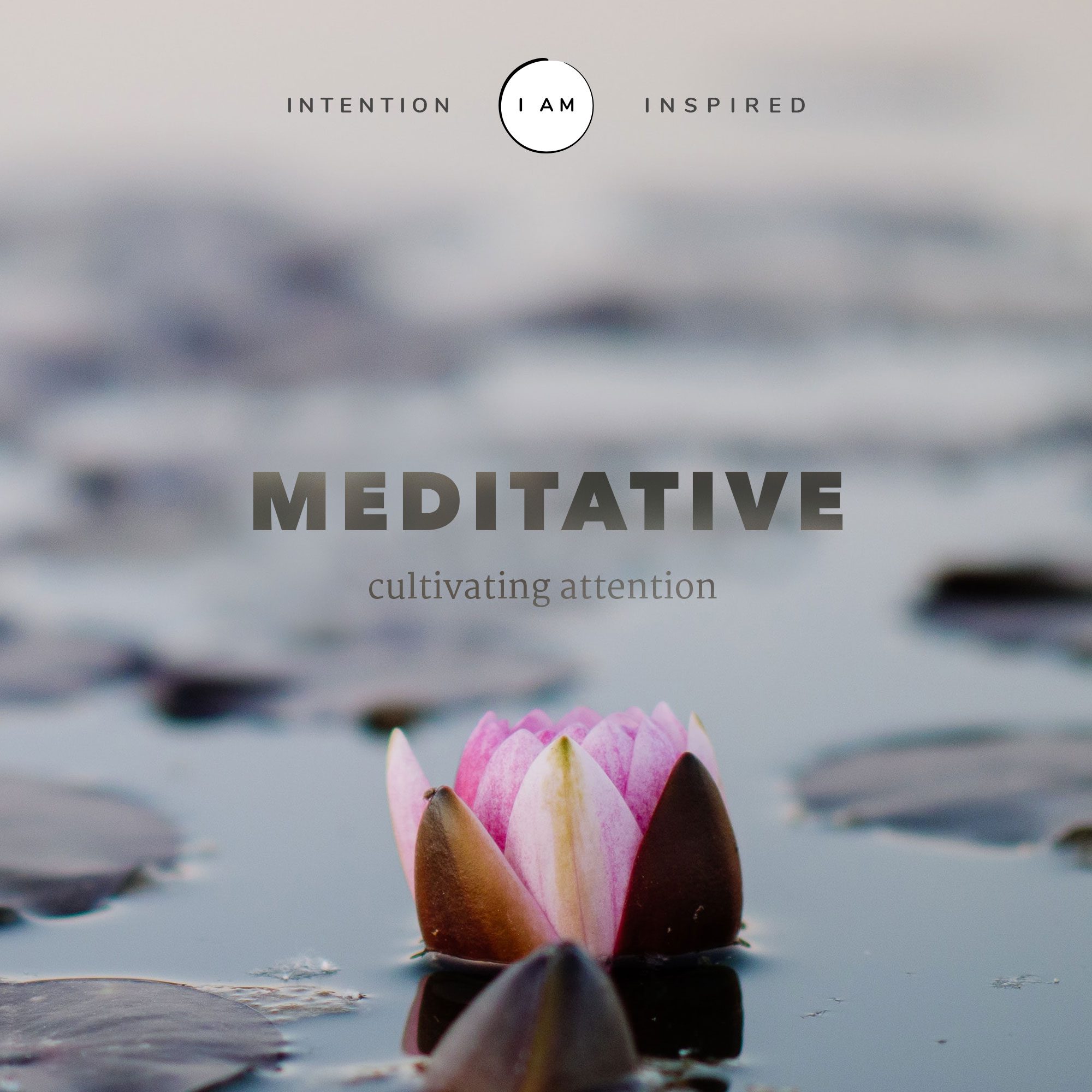 MEDITATIVE - cultivating attention