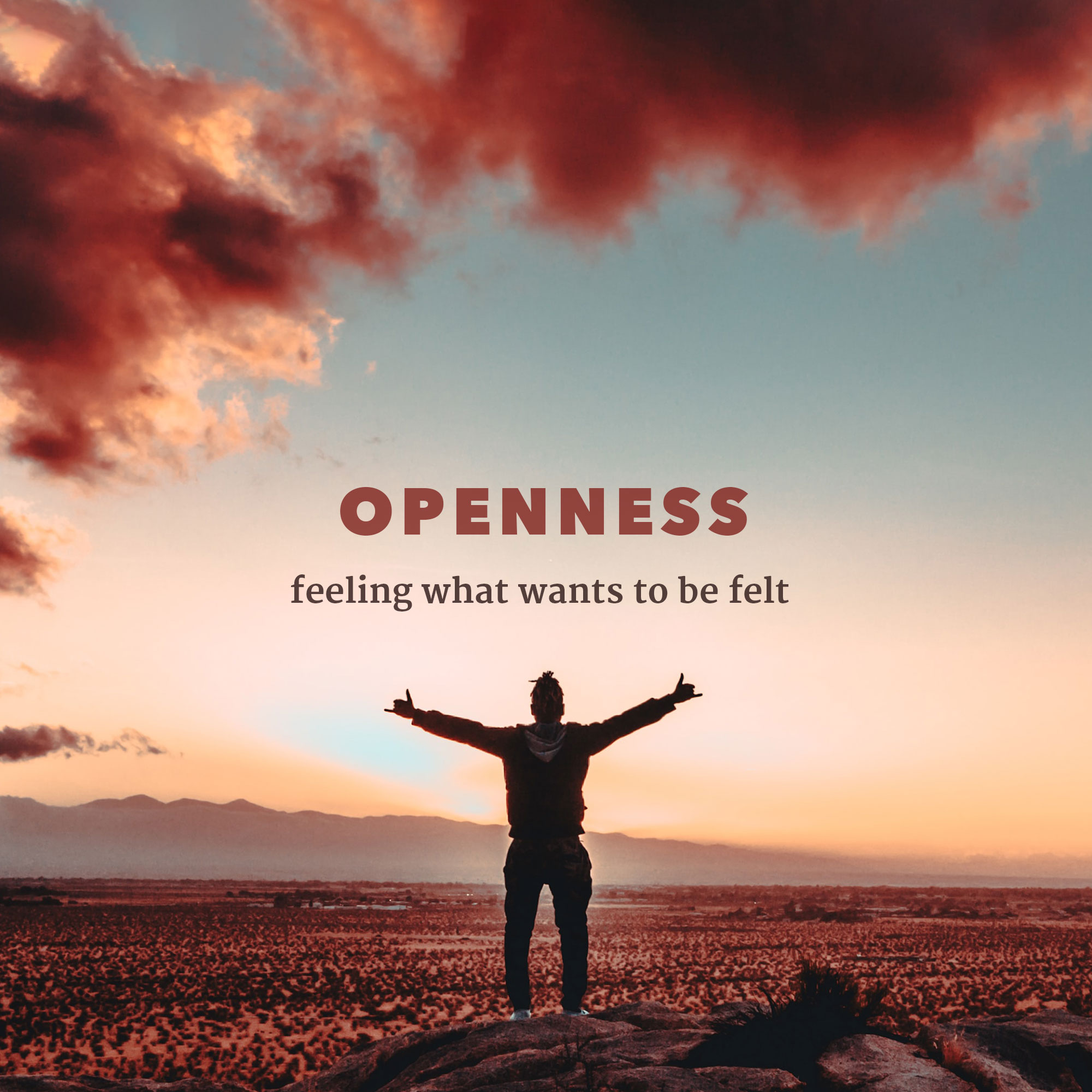 OPENNESS ~ feeling what want to be felt
