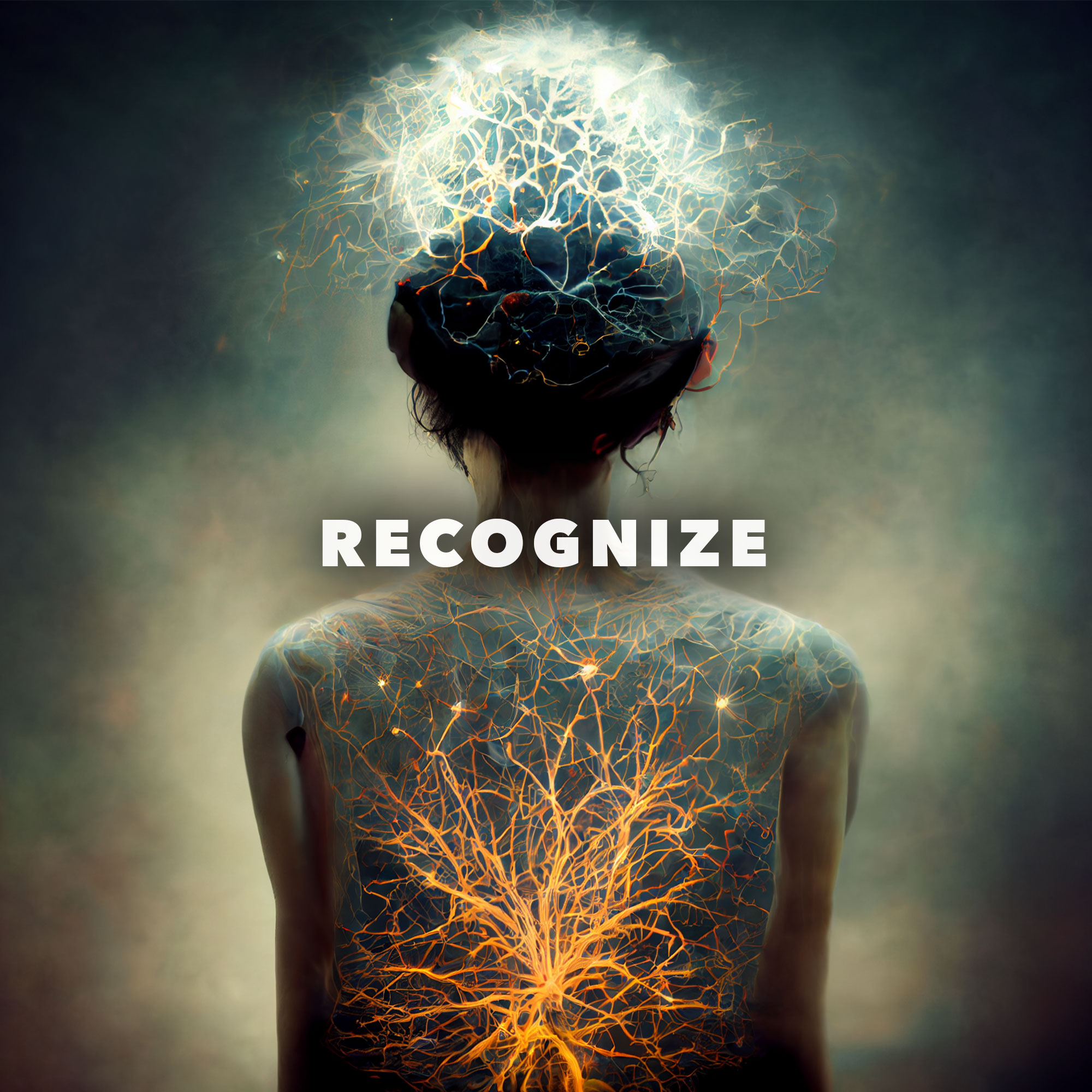 RECOGNIZE ~ clearly seeing patterned behavior